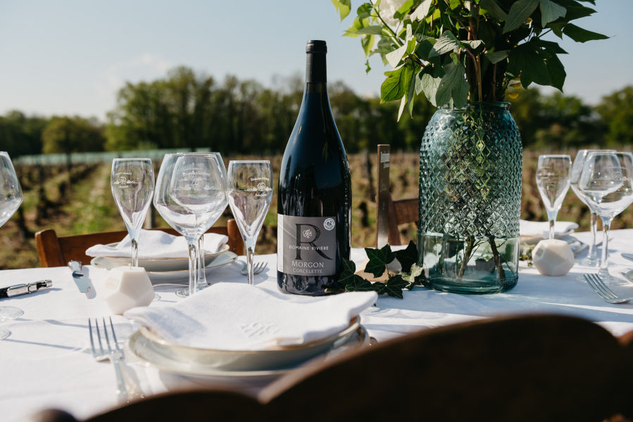 Visite de domaine viticole dans le Beaujolais des Pierres Dorées