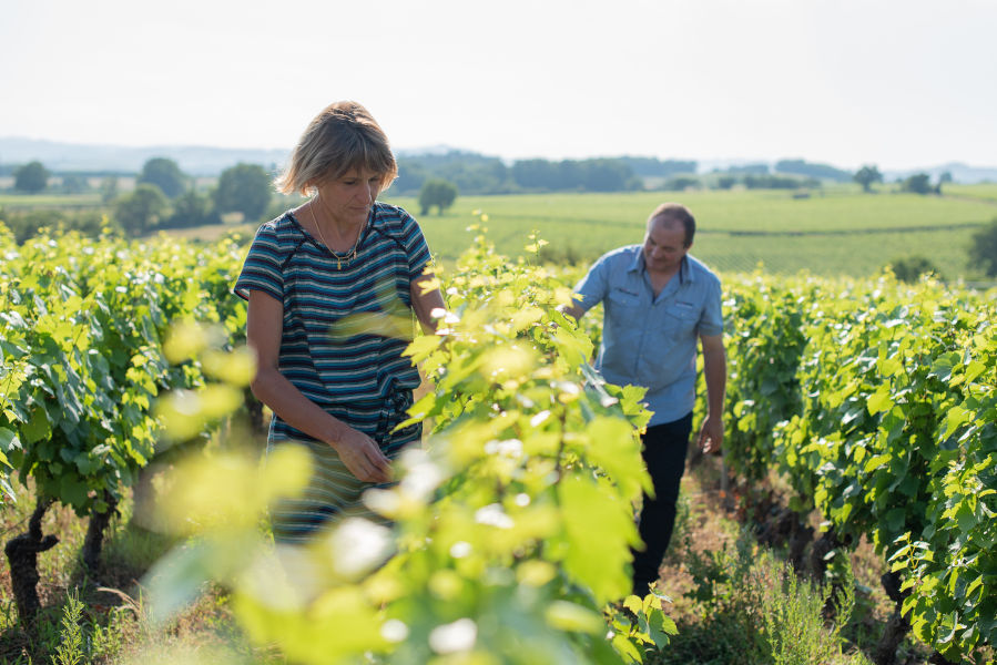 Viticulteur dans le Beaujolais des Pierres Dorées