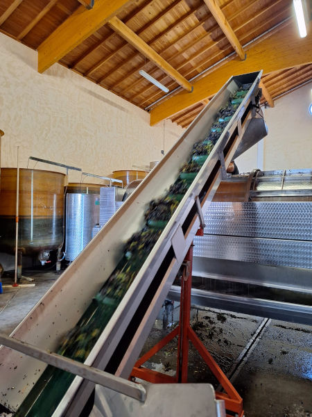 Fabrication de vins du Beaujolais